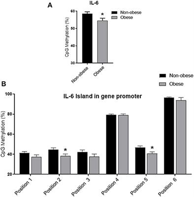 Adiponectin Related Vascular and Cardiac Benefits in Obesity: Is There a Role for an Epigenetically Regulated Mechanism?